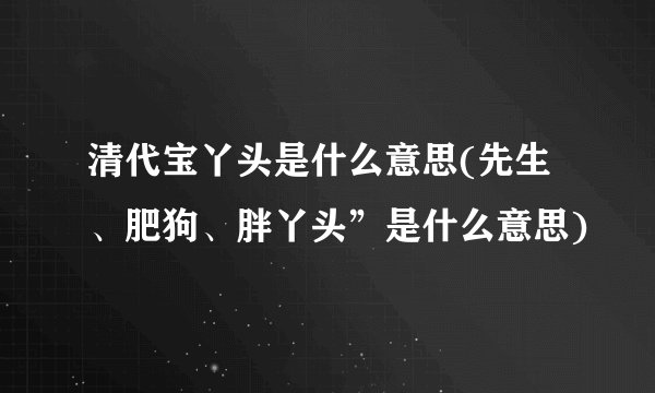 清代宝丫头是什么意思(先生、肥狗、胖丫头”是什么意思)