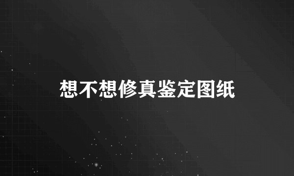 想不想修真鉴定图纸