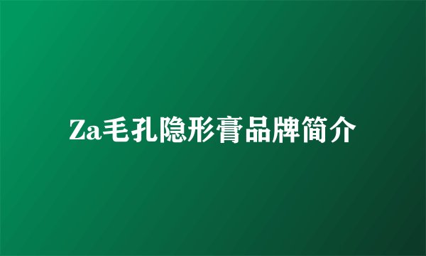 Za毛孔隐形膏品牌简介