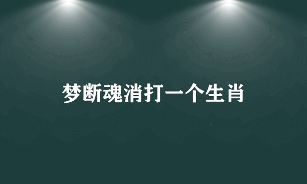 梦断魂消打一个生肖