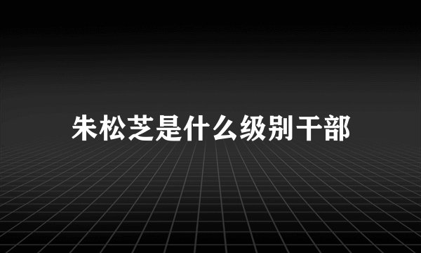 朱松芝是什么级别干部
