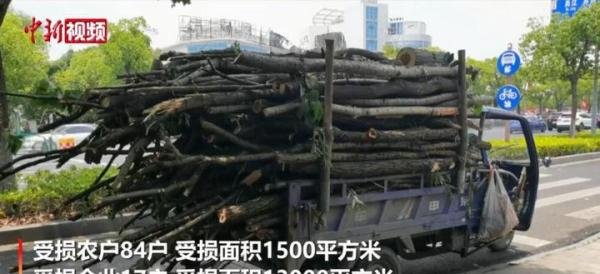 苏州龙卷风最大风力达17级 这是咋情况?