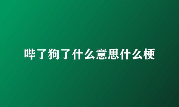 哔了狗了什么意思什么梗