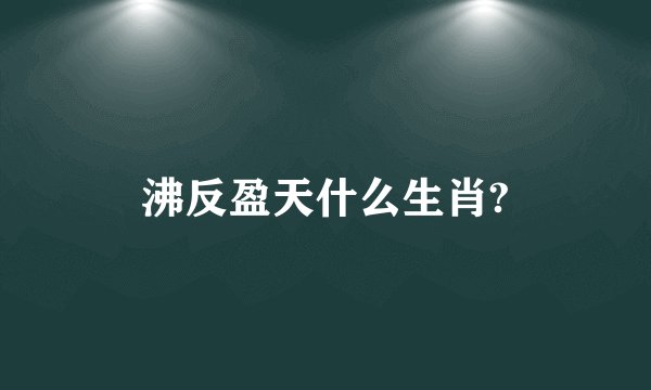 沸反盈天什么生肖?
