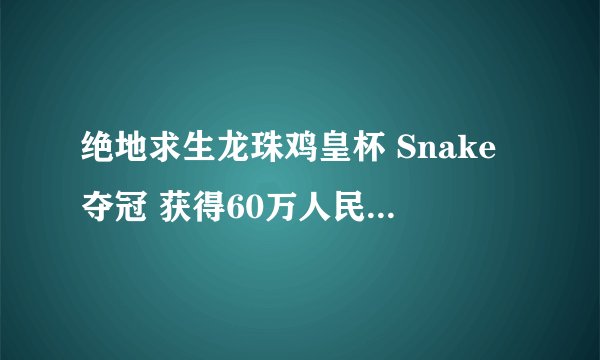 绝地求生龙珠鸡皇杯 Snake夺冠 获得60万人民币奖金 iFTY获亚军