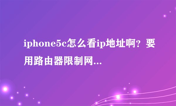 iphone5c怎么看ip地址啊？要用路由器限制网速，不知道手机上的ip地址怎么看。求大神教，在线