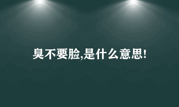 臭不要脸,是什么意思!
