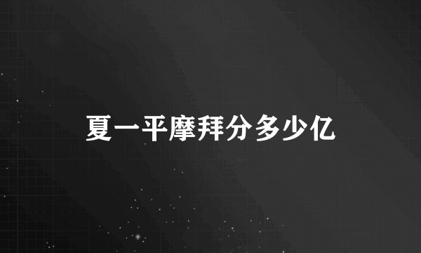 夏一平摩拜分多少亿