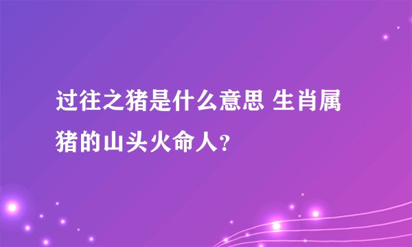 过往之猪是什么意思 生肖属猪的山头火命人？