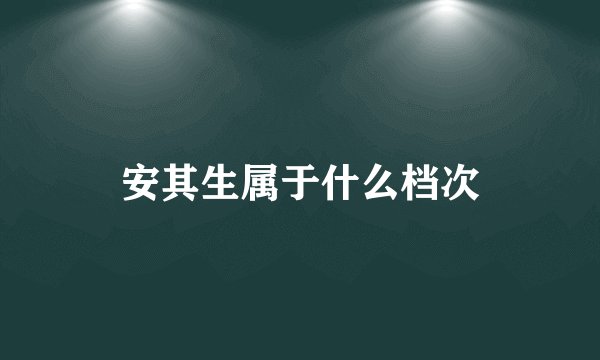 安其生属于什么档次