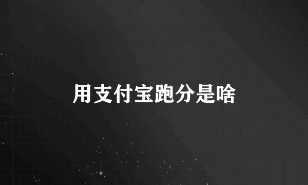 用支付宝跑分是啥