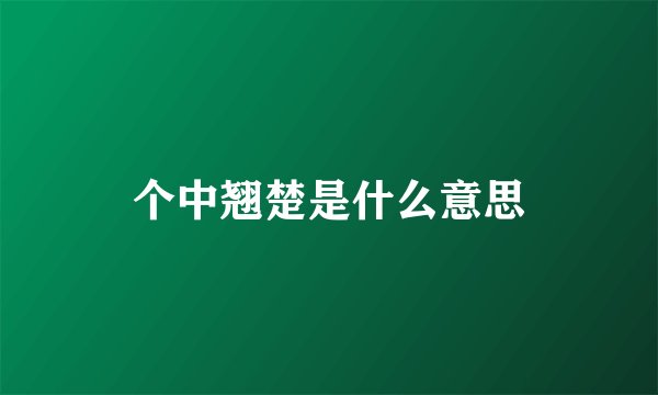 个中翘楚是什么意思