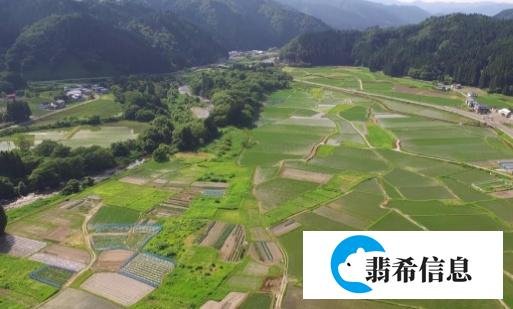 定了！农民工出身的他，逆袭成日本新首相，与中国颇有渊源