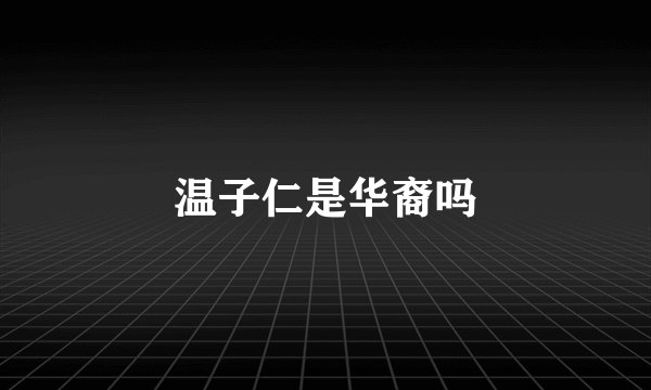 温子仁是华裔吗