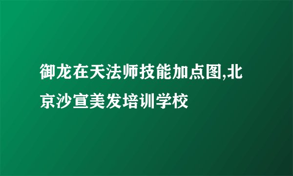 御龙在天法师技能加点图,北京沙宣美发培训学校