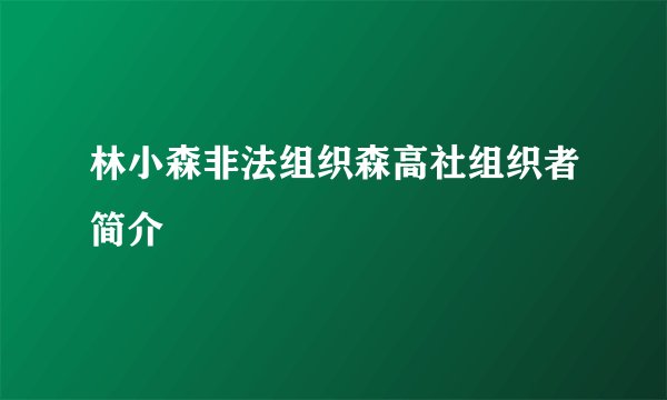 林小森非法组织森高社组织者简介