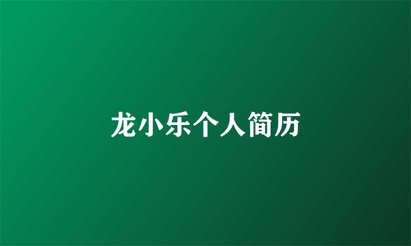 龙小乐个人简历