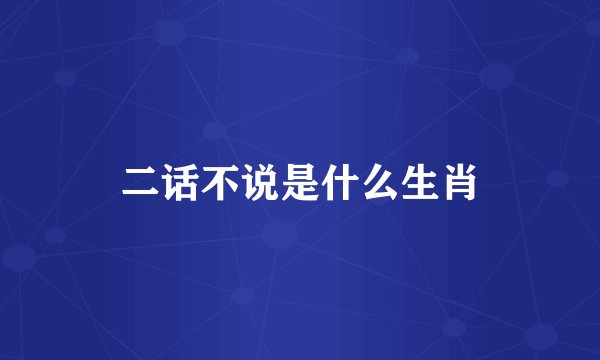 二话不说是什么生肖