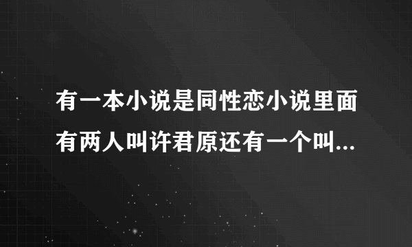 有一本小说是同性恋小说里面有两人叫许君原还有一个叫欧阳小小