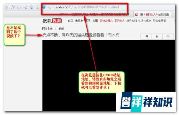 猫头鹰视频看看是真的吗【揭晓骗子】