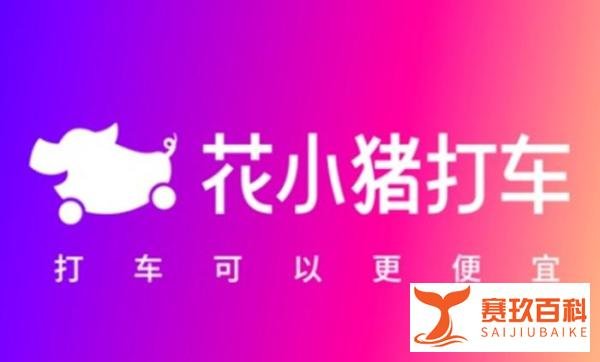 滴滴被青岛七部门约谈：花小猪3个月违法违规320起