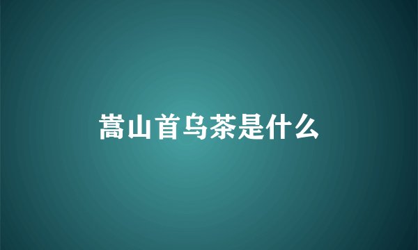 嵩山首乌茶是什么