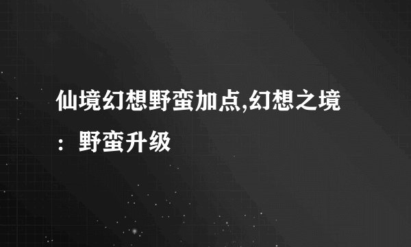 仙境幻想野蛮加点,幻想之境：野蛮升级