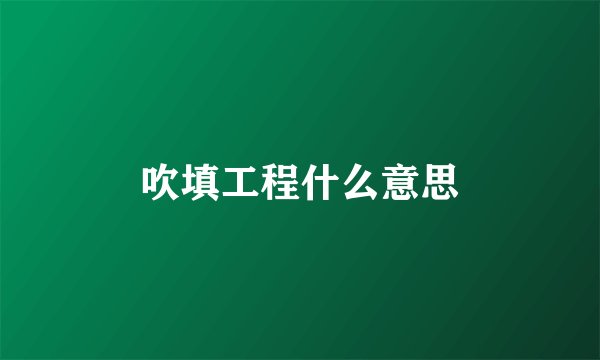 吹填工程什么意思
