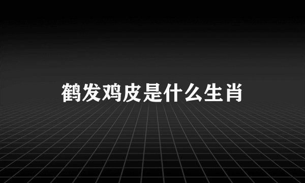 鹤发鸡皮是什么生肖