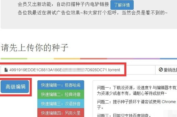 为什么bt下载的种子打不开？