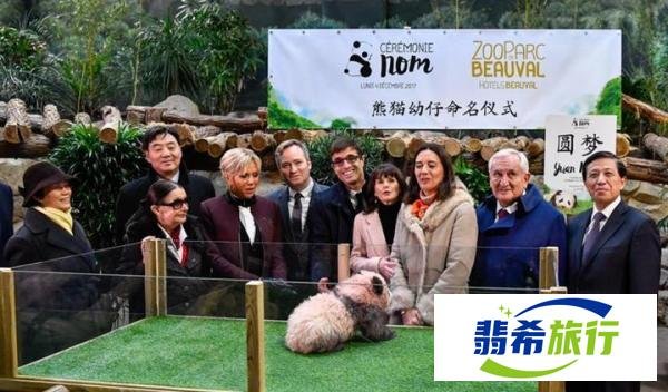 马克龙来华，还带上动物园园长，续租熊猫诚意有了，但中方难答应