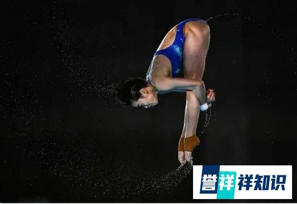 全红婵太离谱了!四跳比别人五跳总分高,网友:实力都溢出来了