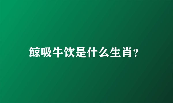 鲸吸牛饮是什么生肖？