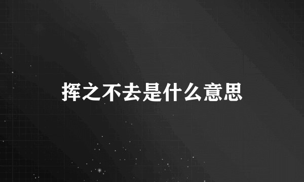 挥之不去是什么意思
