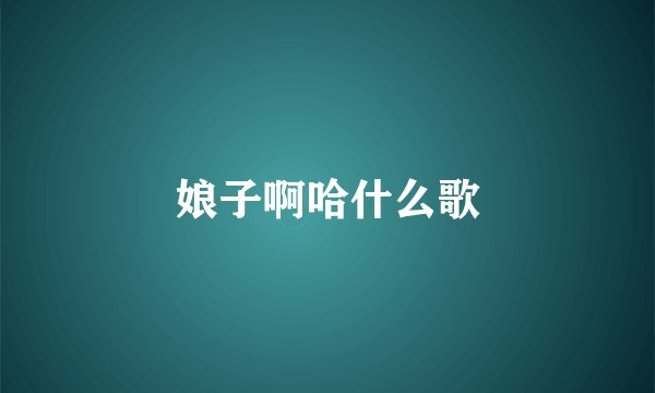 娘子啊哈什么歌
