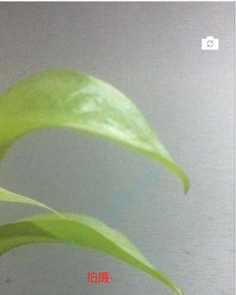 微信时刻视频如何使用