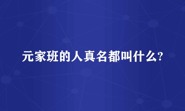 元家班的人真名都叫什么?