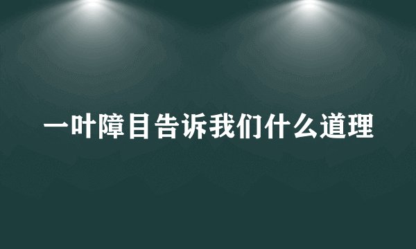 一叶障目告诉我们什么道理