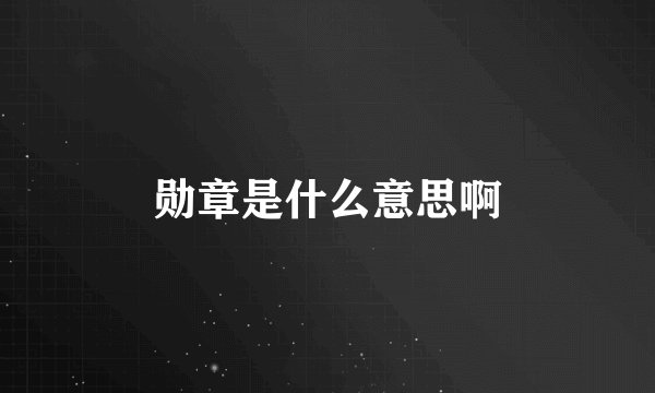 勋章是什么意思啊
