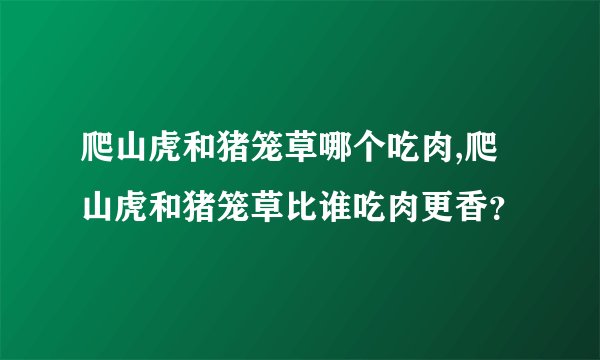 爬山虎和猪笼草哪个吃肉,爬山虎和猪笼草比谁吃肉更香？