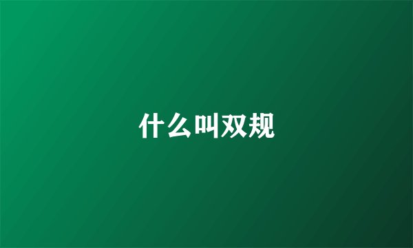 什么叫双规