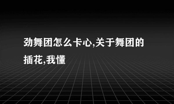 劲舞团怎么卡心,关于舞团的插花,我懂