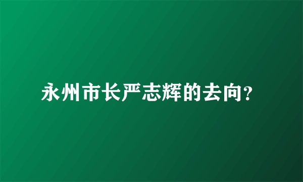 永州市长严志辉的去向?