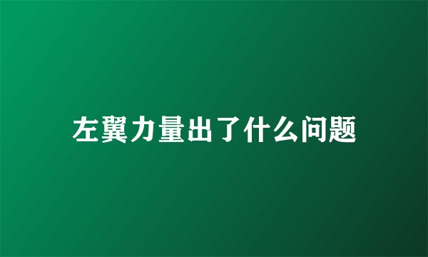 左翼力量出了什么问题