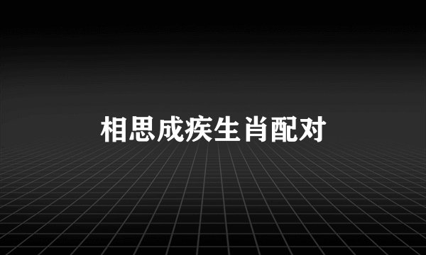 相思成疾生肖配对