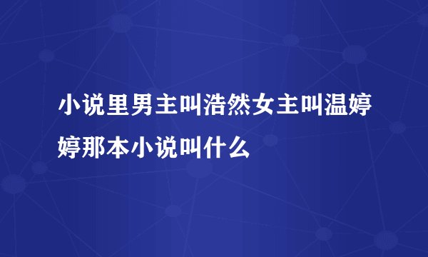 小说里男主叫浩然女主叫温婷婷那本小说叫什么