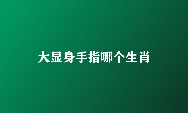 大显身手指哪个生肖