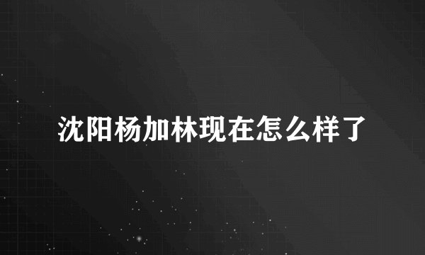 沈阳杨加林现在怎么样了