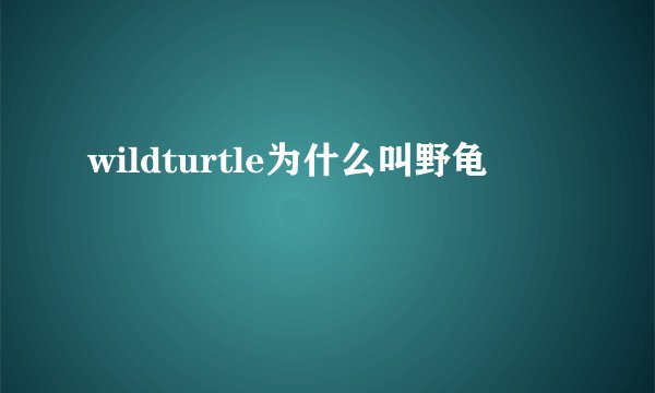 wildturtle为什么叫野龟
