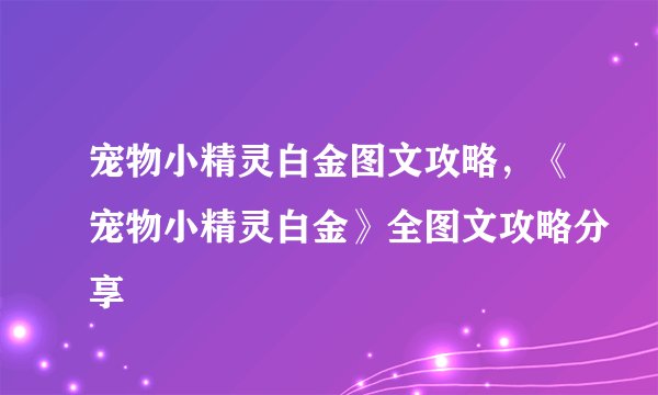 宠物小精灵白金图文攻略，《宠物小精灵白金》全图文攻略分享